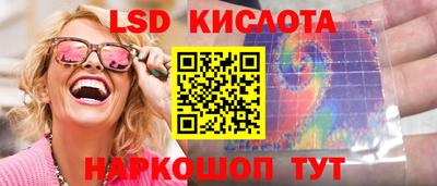 индика Гай