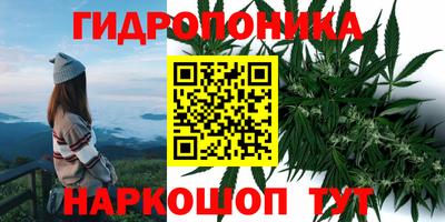 гашиш Гатчина