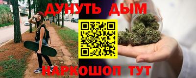 индика Гай