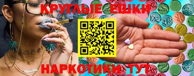 индика Гай