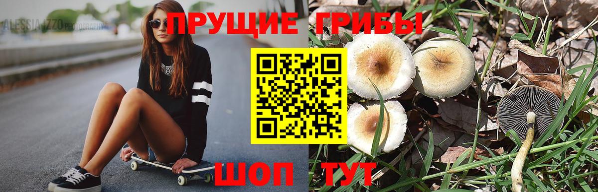 Галлюциногенные грибы мухоморы Гусиноозёрск